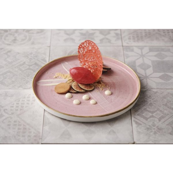 Churchill Stonecast Walled Plates Duck Egg 260mm (Pack of 6) - Image 4