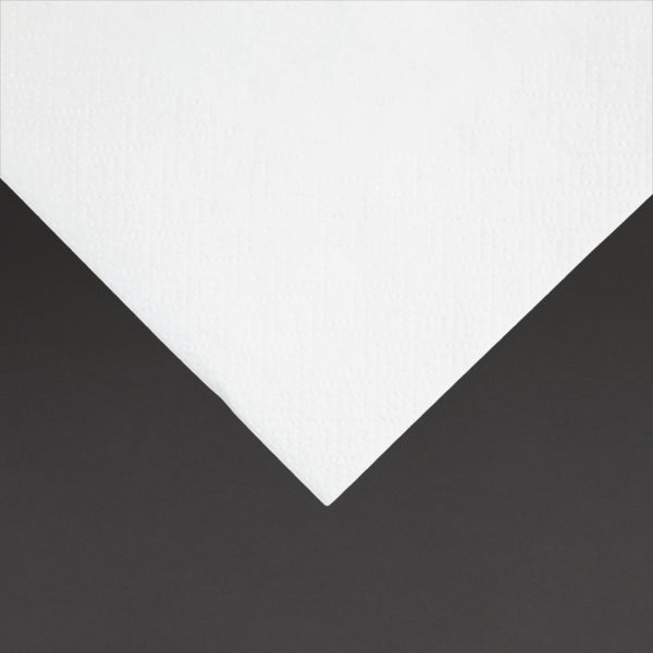 Fiesta Recyclable Cocktail Napkin White 24x24cm 2ply 1/4 Fold (Pack of 4000) - Image 3