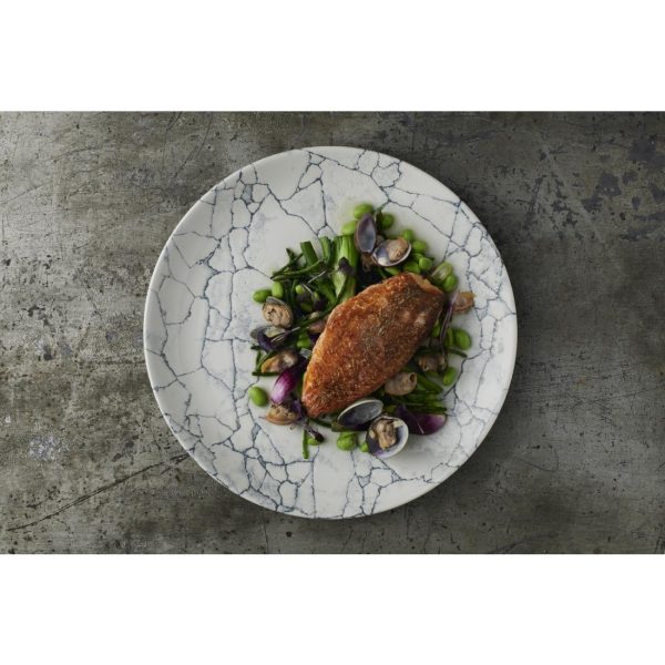 Churchill Studio Prints Kintsugi Pearl Evolve Coupe Plate Grey 260mm (Pack of 12) - Image 4