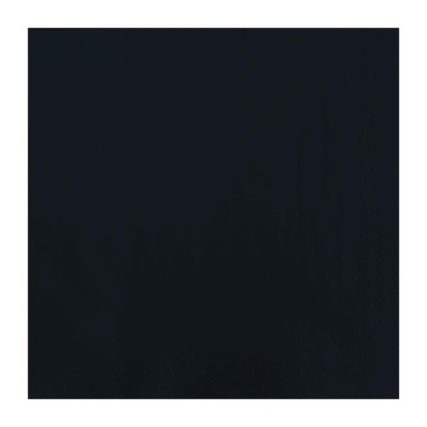Fasana Lunch Napkin Black 33x33cm 2ply 1/4 Fold (Pack of 1500)