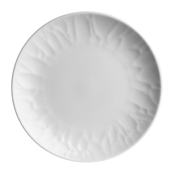 Steelite Atelier Signature Coupe Plates 279mm (Pack of 12)