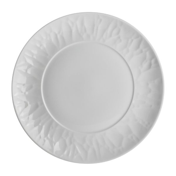 Steelite Atelier Plates 270mm (Pack of 12)