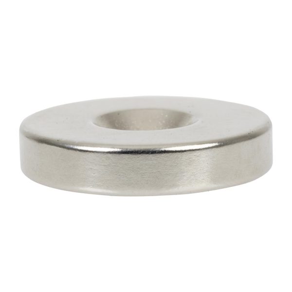 Buffalo Magnet - Image 3