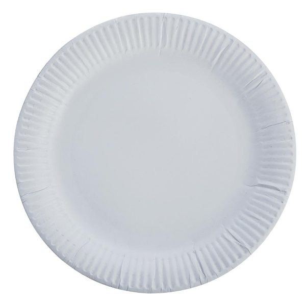Paper Plates 229mm (Pack of 1000) - Image 2