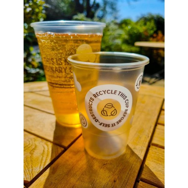 eGreen Printed TWOinONE Flexy Half-pint Glass CE Marked to Brim (Pack of of 1000) - Image 3