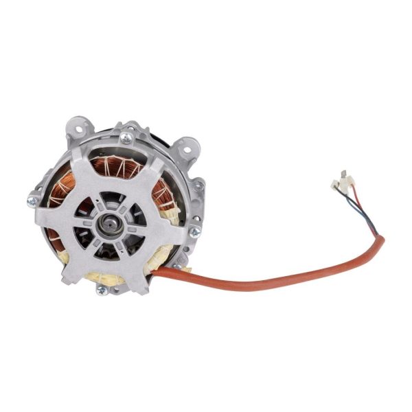 Buffalo Motor - Image 4
