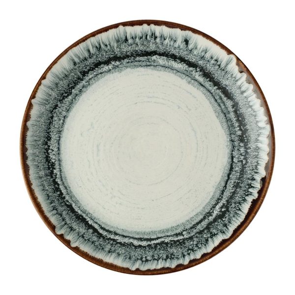 Dudson Harvest Flare Natural Evolve Coupe Plates 260mm (12 Pack)