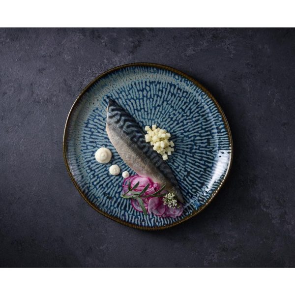 Churchill Envisage Cascade Sapphire Blue Natural Plates 255mm (6 Pack) - Image 4