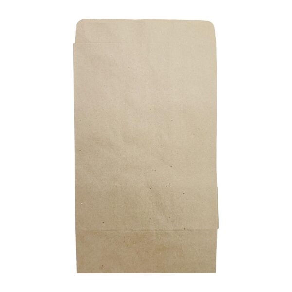 Fiesta Recyclable Sealable Takeaway Bags Medium (250 Pack) - Image 4