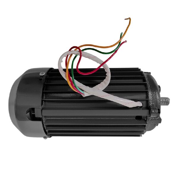 Polar Beater Motor